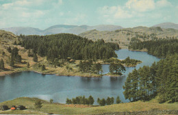 Postcard - The English Lakes, Tarn Hows - Card No.kld 267 - Very Good - Unclassified