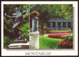 MONTARGIS 45 - Montargis