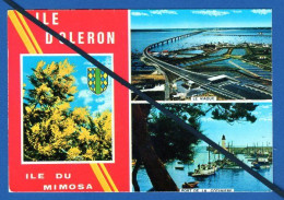 Cartes Postales - Lots  Vrac -35 .CPA-(de La Charente- 17-)  Ecrites Ou Pas - 5 - 99 Postcards