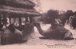 13 - MARSEILLE - Exposition Coloniale 1922 - Un Coin Du Village Soudannais - Les Chameaux - Lot 2 Cartes - Expositions Coloniales 1906 - 1922