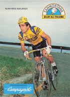 Vélo Coureur Cycliste Italien Alnichere Sgalbazzi - Squadra Sammontana -  Cycling - Cyclisme  Ciclismo - Wielrennen -  - Cycling