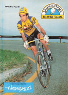 Vélo Coureur Cycliste Italien Marino Polini - Squadra Sammontana -  Cycling - Cyclisme  Ciclismo - Wielrennen -  - Cycling