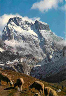 Animaux - Moutons - Hautes Alpes - Le Mont Viso - CPM - Voir Scans Recto-Verso - Other & Unclassified