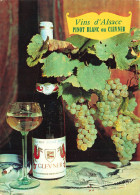 PUBLICITE - Vins D'Alsace - Pinot Blanc Ou Clevner - Carte Postale - Publicité
