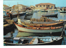 13 - CARRO - Le Port De Pêche - La Halle Aux Poissons  (barques De Pêcheurs Au 1er Plan) - Autres & Non Classés