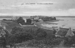 ILE-aux-MOINES - Le Lairio Et Le Bois D'Amour - Angle De Vue Peu Fréquent - Ile Aux Moines