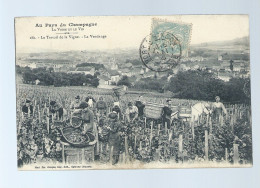 CPA - 51 - Au Pays Du Champagne - La Vigne Et Le Vin - Le Travail De La Vigne - La Vendange - Animée - Circulée En 1906 - Autres & Non Classés