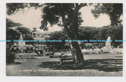 C008049 Ceylon. Colombo. A Corner Of Gordon Gardens. Plate. No. 36 - World