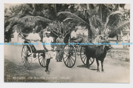 C007279 Bickshaw And Bullock Hackery. Ceylon. No. 60. Plate - World
