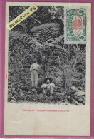 Île De La Réunion ***Fougère Arborescente Dans La Forêt (Rare Voyagée Timbrée1910/ClichéE.C.) - Sonstige & Ohne Zuordnung