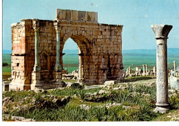 MAROC /VOLUBILIS / ARC DE TRIOMPHE DE CARACALLA - Autres & Non Classés