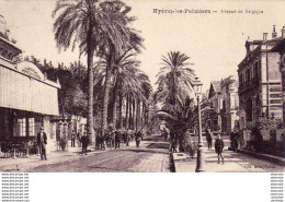 D83  HYÈRES LES PALMIERS  Avenue De Belgique - Hyeres