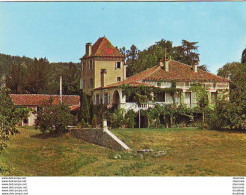 D46 ALBAS  Château Du Cayrou - Autres & Non Classés