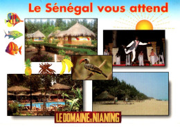 SENEGAL / MULTIVUES DU DOMAINE DE NIANING - Senegal