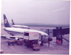 Lufthansa CARGO Auf Dem Flughafen - Aviation