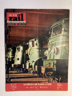 VIE DU RAIL 1955 517 COMBOIOS DE PORTUGAL MISTRAL TEE CAMINHOS FERRO PORTUGUESES BUFFALO BILL MONTBARD - Trains