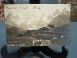 Carte  Eiger, Mönch Und Jungfrau - Chaussures Suisses - Bally - Mürren