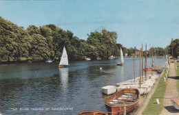Postcard - The Riveer Thames At Pangvourne - Card No. 1-35-02-14 - Posted, Date Obscured - VG - Unclassified