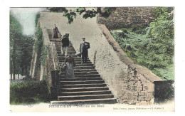 45 - Pithiviers - Poterne Du Mail - Pithiviers