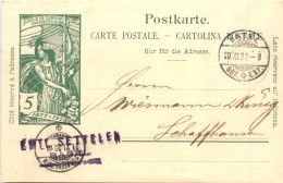 Schweiz - UPU 1900 - Autres & Non Classés