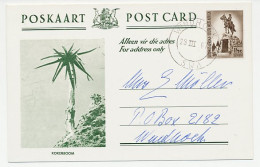 Postal Stationery South West Africa 1967 Quiver Tree - Arbres