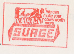 Meter Top Cut GB / UK 1988 Cow - We Can Make Your Cows Worth More - Ferme
