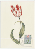 Maximum Card Netherlands 1960 Tulip - Floriade - Other & Unclassified