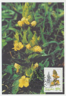 Maximum Card Transkei 1991 Flower - Parasitic Plant - Autres & Non Classés