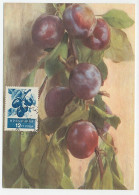 Maximum Card Bulgaria 1957 Plums - Fruits