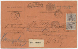 Em. 1872 Pakketkaart Schiedam - Duitsland - Non Classés