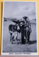 (HOR4) HORTOBAGY - JUHASZ A SZAMACAVAL A - SHEPHERD WITH HIS DONKEY AT THE PASTURE-LAND - PASTORE CON ASINO PASCOLO-NVG - Hungary