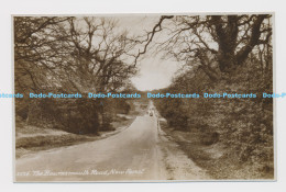 C010262 3536. Bournemouth Road. New Forest. E. A. Sweetman. RP - Monde