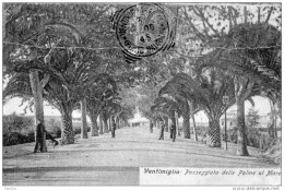 1906    CARTOLINA  VENTIMIGLIA GENOVA - Autres & Non Classés