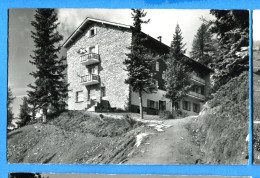 VIX165, Hotel Waldhaus, 4955, E. Gyger, Circulée Sous Enveloppe - Bettmeralp