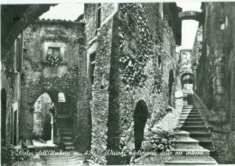 Calvi Dell'Umbria; Visioni Medioevali Delle Vie Interne - Non Viaggiata. (Osvaldo - Calvi) 10x15! - Other & Unclassified