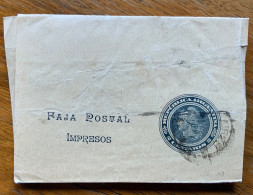 ARGENTINA - FASCETTA - FAJA POSTAL IMPRESOS  2 C. Per SAN JAVER /TERRITORIO MISSIONES) - Lettres & Documents