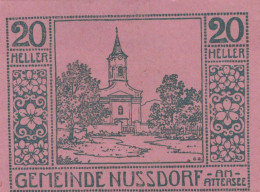 20 HELLER 1920 Stadt NUSSDORF AM ATTERSEE Oberösterreich Österreich Notgeld Papiergeld Banknote #PG959 - [11] Emissions Locales