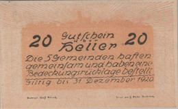 20 HELLER 1920 Stadt NEUSTADTL AN DER DONAU NABEGG JUDENHOF Österreich #PE437 - [11] Emissions Locales