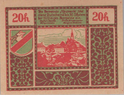 20 HELLER 1920 Stadt NEUMARKT BEI SALZBURG Salzburg Österreich Notgeld #PE235 - [11] Emissions Locales
