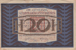 20 HELLER 1920 Stadt NEUFELDEN Oberösterreich Österreich Notgeld Banknote #PE226 - [11] Emissions Locales