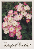 FLOWERS Vintage Postcard CPSM #PAR738.A - Fleurs