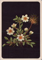FLEURS Vintage Carte Postale CPSM #PAR511.A - Fleurs