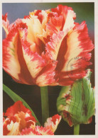 FLEURS Vintage Carte Postale CPSM #PAR361.A - Fleurs