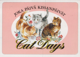 CAT KITTY Animals Vintage Postcard CPSM #PAM436.A - Cats