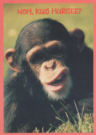 MONKEY Animals Vintage Postcard CPSM #PBS010.A - Monkeys