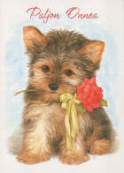 HUND Tier Vintage Ansichtskarte Postkarte CPSM #PBQ377.A - Dogs