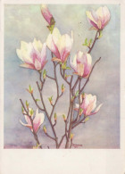 FLEURS Vintage Carte Postale CPSM #PAS367.FR - Flowers