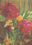 FLEURS Vintage Carte Postale CPSM #PAR706.FR - Flowers