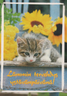 GATTO KITTY Animale Vintage Cartolina CPSM #PAM641.IT - Chats