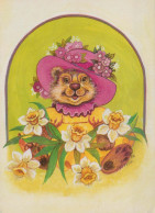 NASCERE Animale Vintage Cartolina CPSM #PBS183.IT - Bears